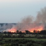 пожар камыша на пляже уголок Бобров